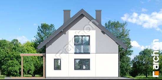 Боковой фасад Дом в аммобиуме 3