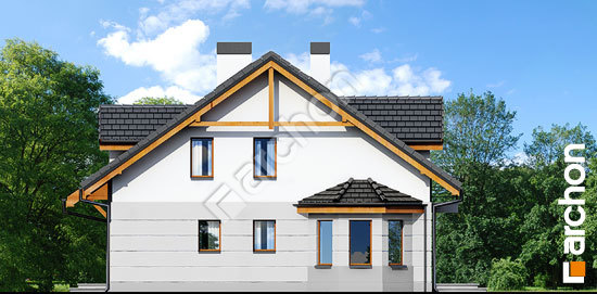 Боковой фасад Дом под гинко 2 (Р2)