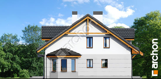 Боковой фасад Дом под гинко 2 (Р2)