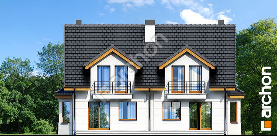 Дворовой фасад Дом под гинко 2 (Р2)