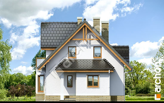 Боковой фасад Дом в клюкве вер.2