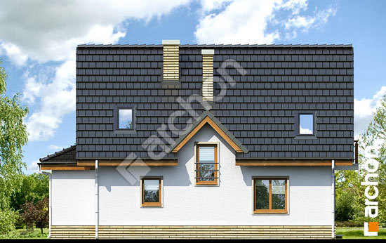 Дворовой фасад Дом в клюкве вер.2