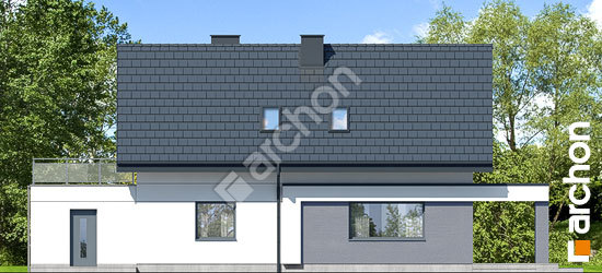 Дворовий фасад Будинок в шишковиках 3 (Г)