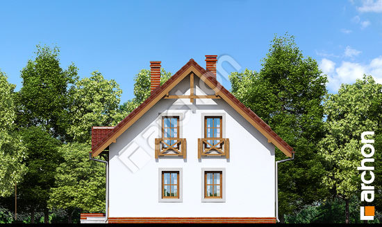 Боковой фасад Дом в землянике 5 вер.2