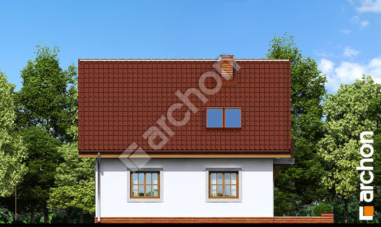 Дворовой фасад Дом в землянике 5 вер.2