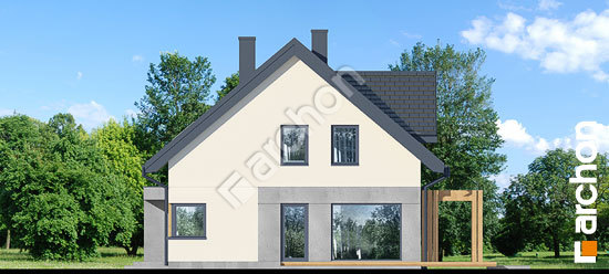 Боковой фасад Дом в крынках 2 (Р2)