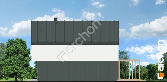 Бочний фасад Будинок в мускатах 4 (Е)