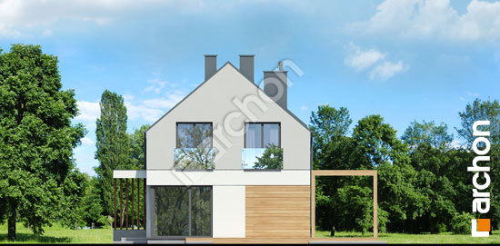 Бочний фасад Будинок в тритомах 2