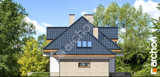 Бочний фасад Будинок у вербені 8 (ПН)