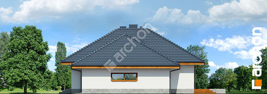 Бочний фасад Будинок в альвах (Г2)