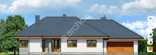 Передний фасад Дом в альвах (Г2)