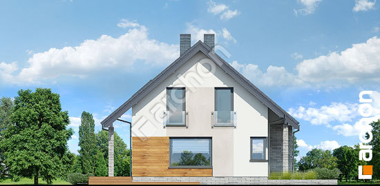 Бочний фасад Будинок в журавках (A)