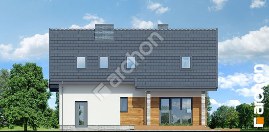 Дворовий фасад Будинок в журавках (A)