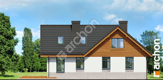 Дворовий фасад Будинок в манго вер.3