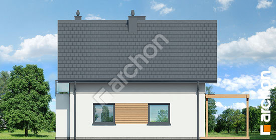 Боковой фасад Дом в фацелиях