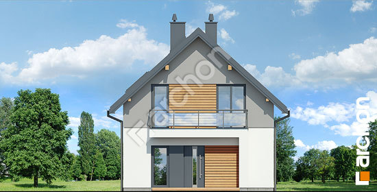 Передний фасад Дом в фацелиях