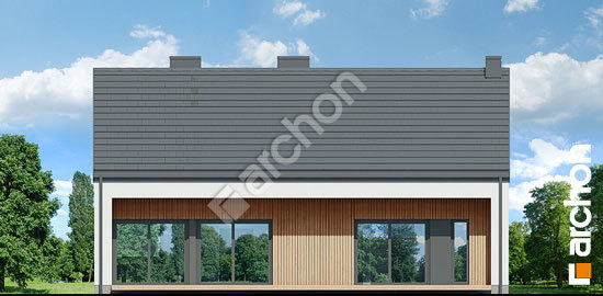 Дворовий фасад Будинок в нарахнілах 5