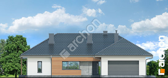 Передний фасад Дом в исменах (Г2)