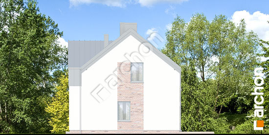 Боковой фасад Дом в гунерах (Б) вер. 2