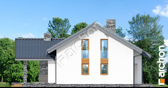 Бочний фасад Будинок в первоцвітах (в)