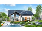 Проект будинку ARCHON+ Будинок в первоцвітах (в) 