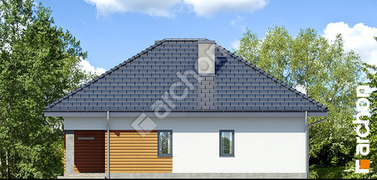 Бочний фасад Будинок в бузку 2 (В)