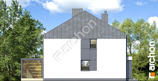 Боковой фасад Дом в нарциссах 3 (Б)