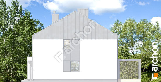 Боковой фасад Дом в нарциссах 3 (Б)