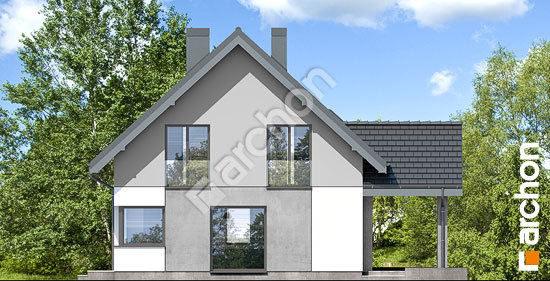 Бочний фасад Будинок в хлорофітумі 15