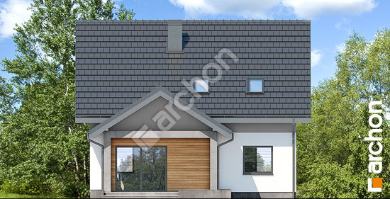 Дворовий фасад Будинок в хлорофітумі 15