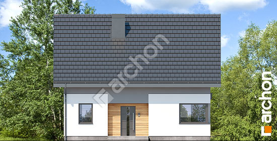 Передний фасад Дом в хлорофитуме 15