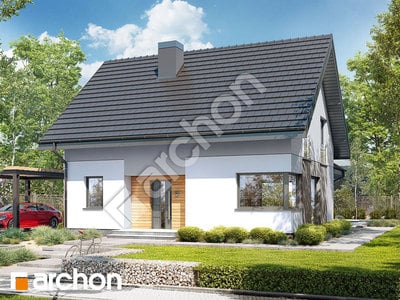 Проєкт будинку ARCHON+ Будинок в хлорофітумі 15 