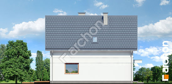 Бочний фасад Будинок під лімбами 2