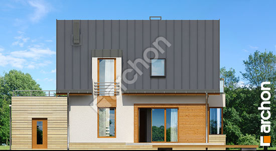 Дворовой фасад Дом в кардамоне вер.2