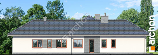 Боковой фасад Дом в каллистемонах (Г2)