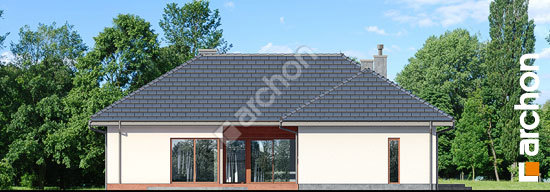 Дворовой фасад Дом в каллистемонах (Г2)