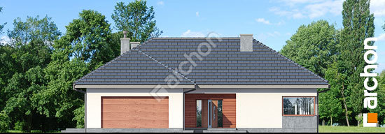 Передний фасад Дом в каллистемонах (Г2)