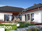 Проект будинку ARCHON+ Будинок в каллістемонах (Г2) стилізація 4