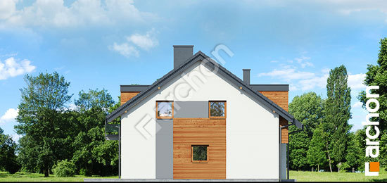 Бочний фасад Будинок під гінко 10 (Р2Б)