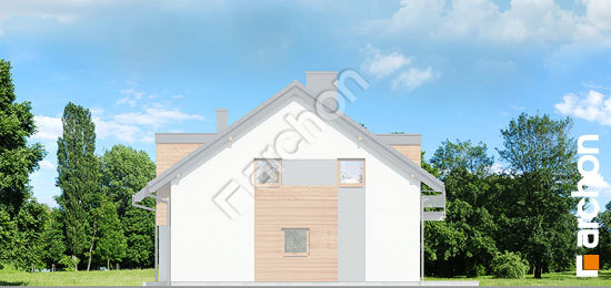 Боковой фасад Дом под гинко 10 (Р2Б)