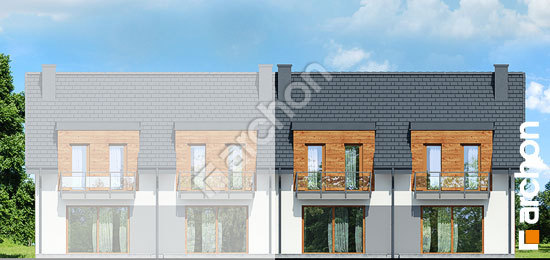 Дворовой фасад Дом под гинко 10 (Р2Б)