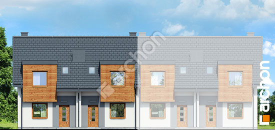 Передній фасад Будинок під гінко 10 (Р2Б)