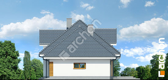 Боковой фасад Дом в сливах (Г2)