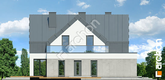 Бочний фасад Будинок в бирючинах (Г2)