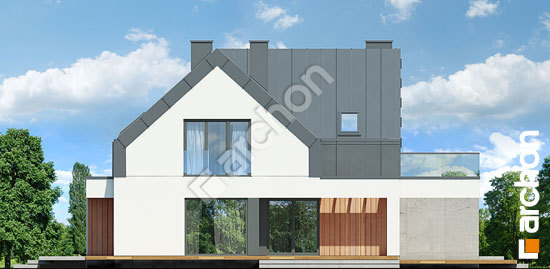 Дворовий фасад Будинок в бирючинах (Г2)