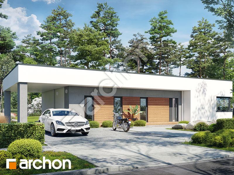 Проект будинку ARCHON+ Будинок в плюмеріях 6 (Е) Вид 1