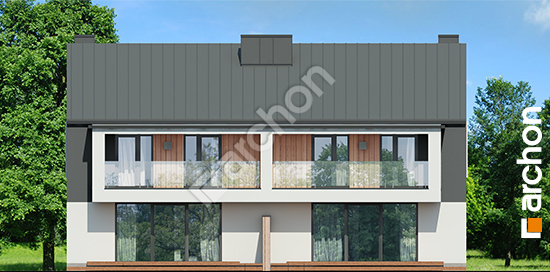 Дворовой фасад Дом в клематисах 28 (Р2)