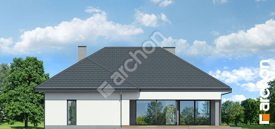 Дворовий фасад Будинок в підсніжниках 10 (Г2)