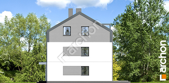 Боковой фасад Дом в фиалках 17 (Р2Б) вер.2