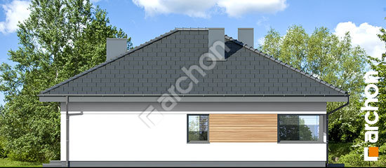 Бочний фасад Будинок в хакетіях 5